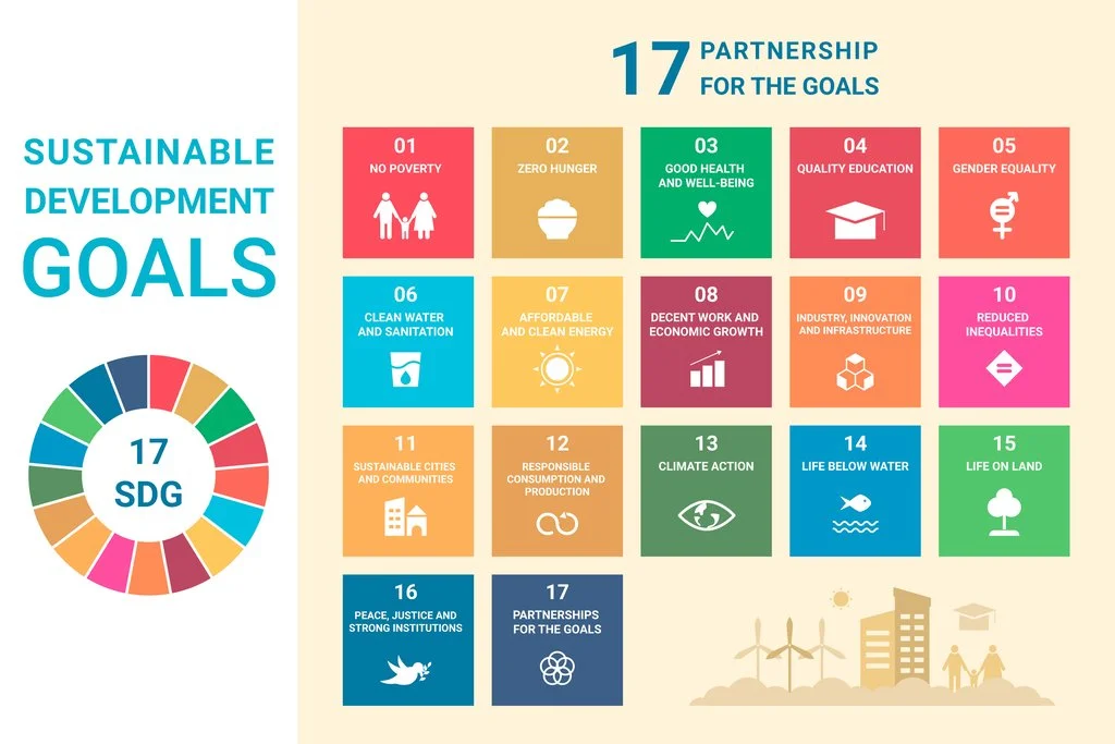 The 17 Sustainable Development Goals set by the UN, highlighting vital areas for global progress